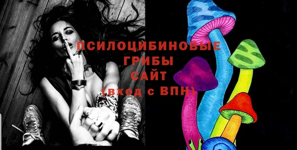прущий лед Алексин