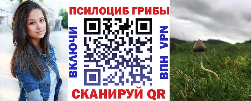 Псилоцибиновые грибы прущие грибы  ссылка на мегу tor  Борзя  где продают наркотики 